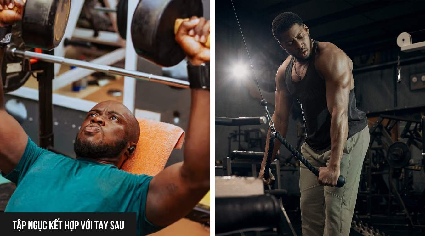 Tập ngực kết hợp với tay sau