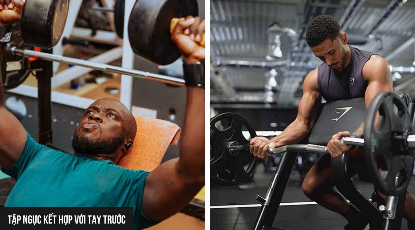 Tay trước (biceps) không phải là nhóm cơ chính khi tập ngực.
