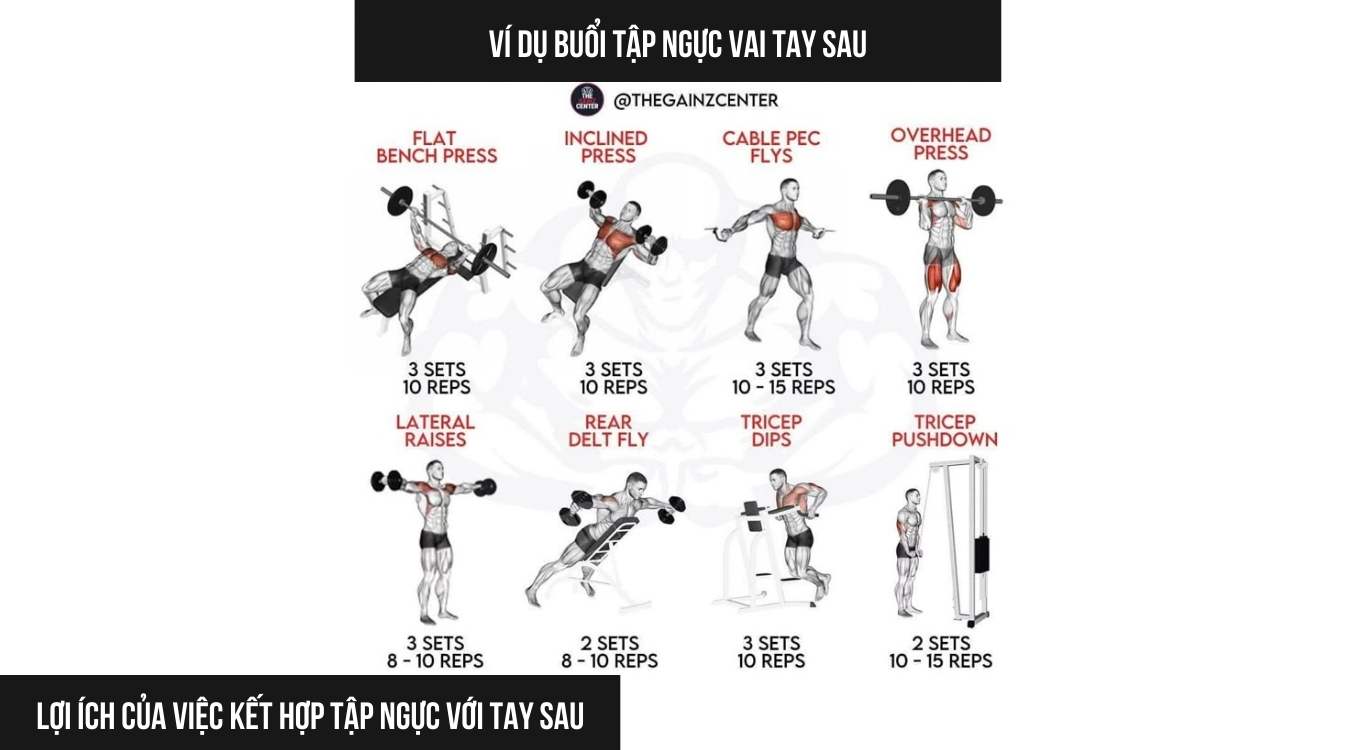 Lợi ích của việc kết hợp tập ngực với tay sau