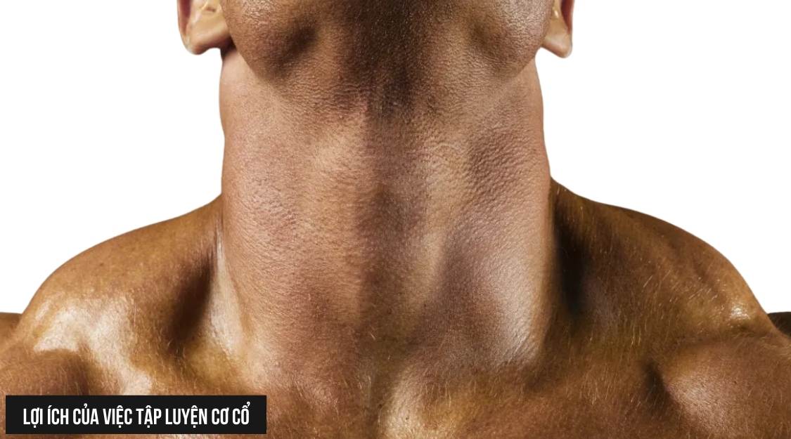 bài tập cổ cho nam