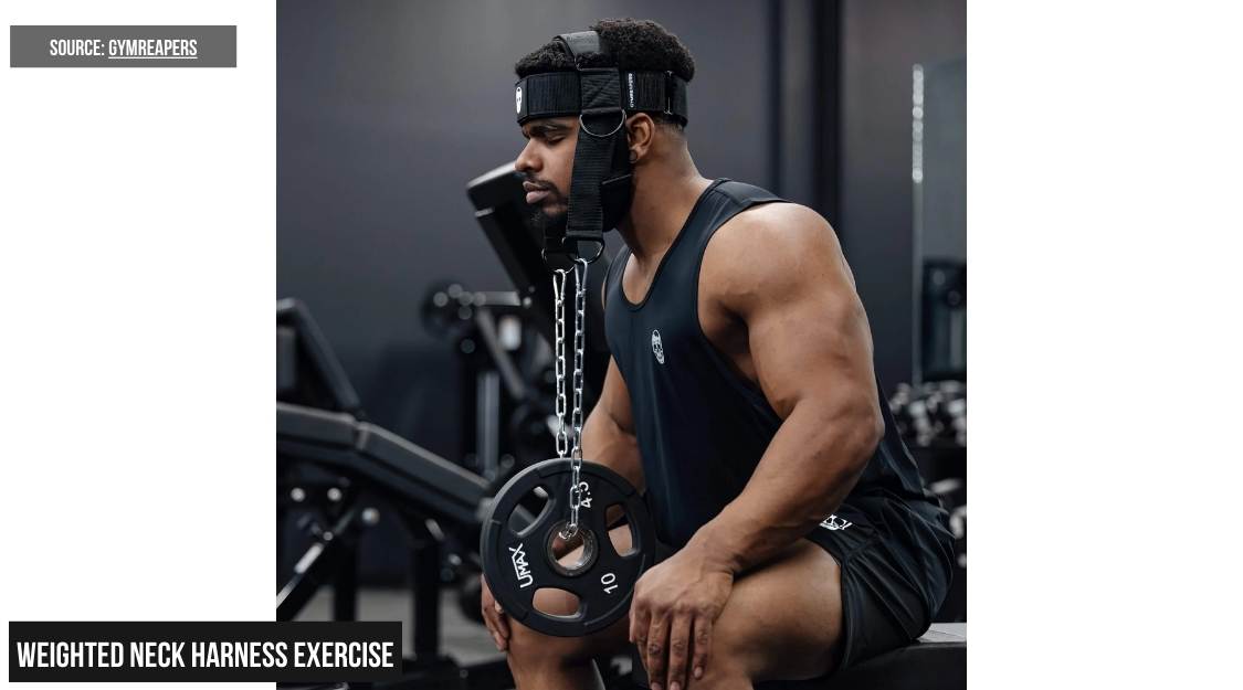 Weighted Neck Harness Exercise