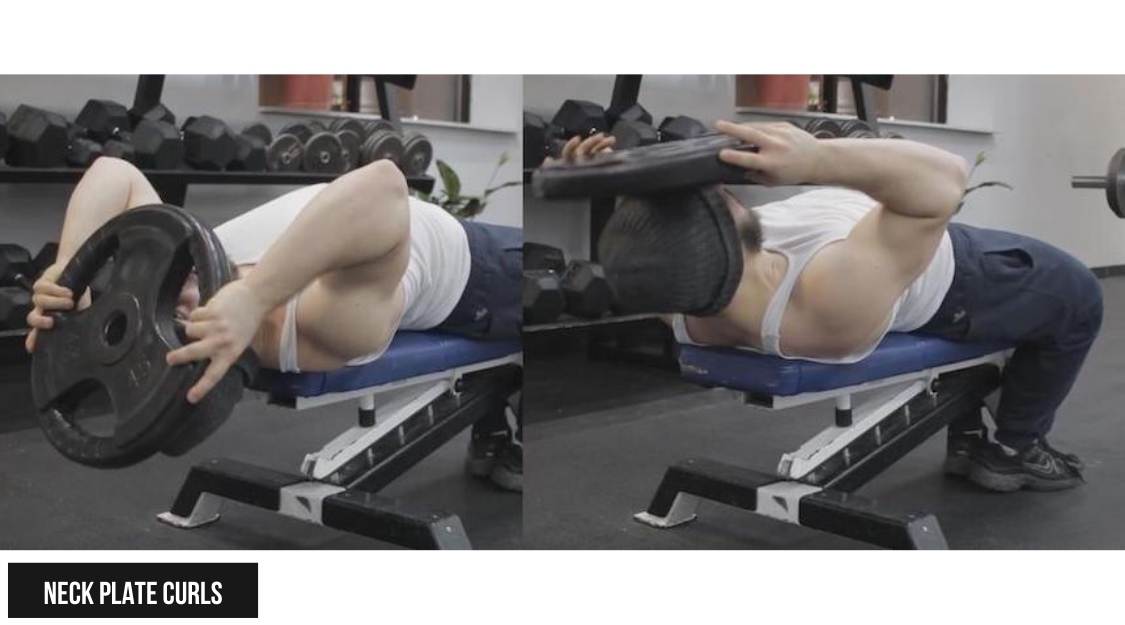 Neck Plate Curls (Gập cổ trước với tạ đĩa)