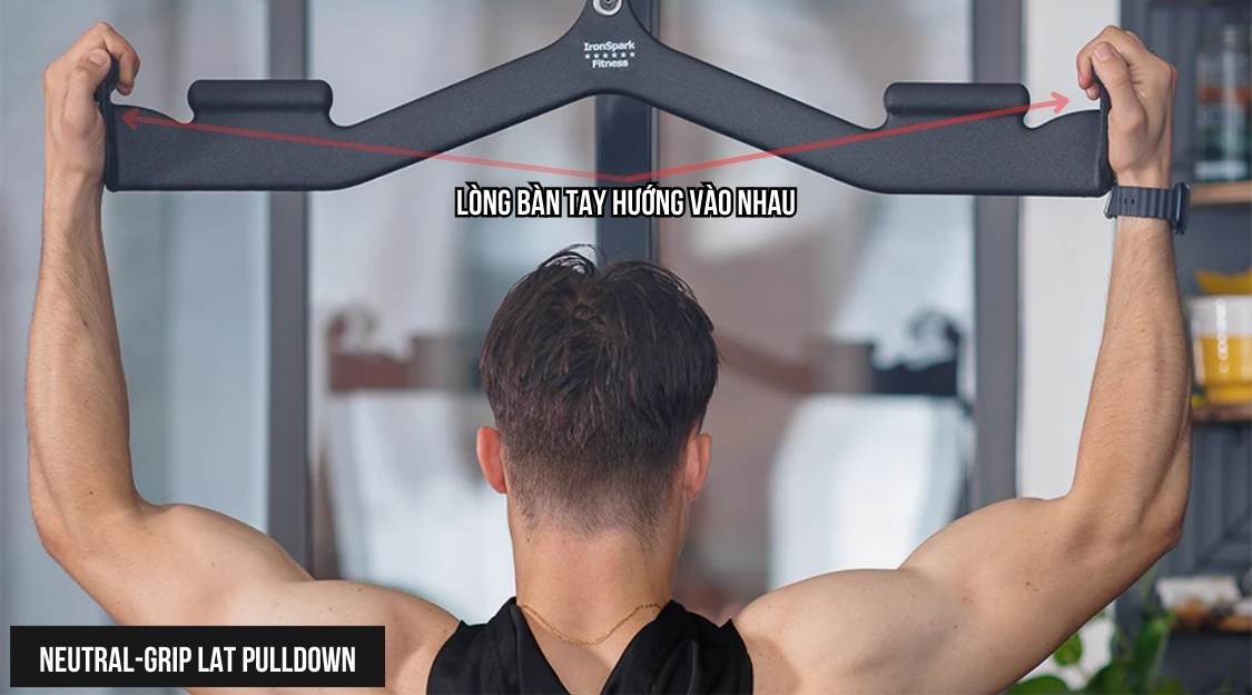 Neutral-Grip Lat Pulldown