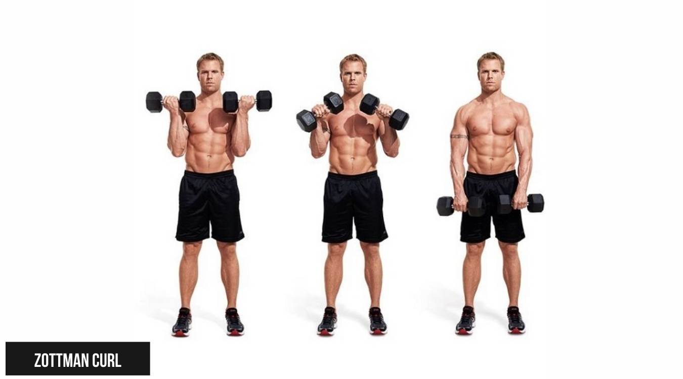 Bài tập Zottman Curl