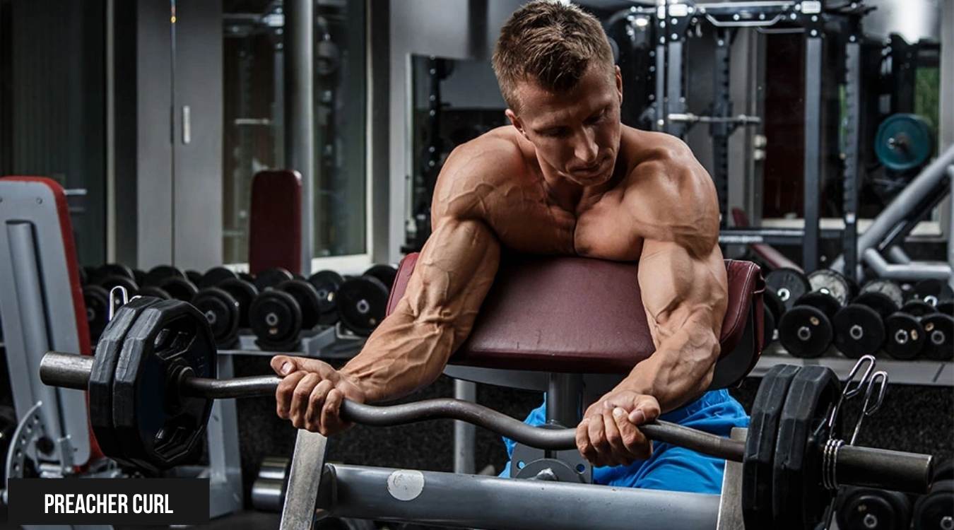 các bài tập tay trước tại phòng gym