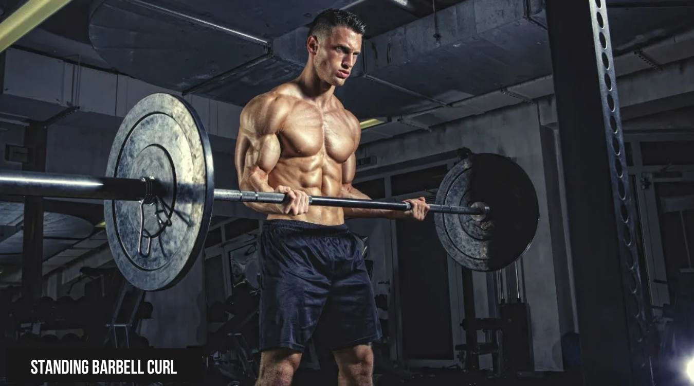 các bài tập tay trước tại phòng gym