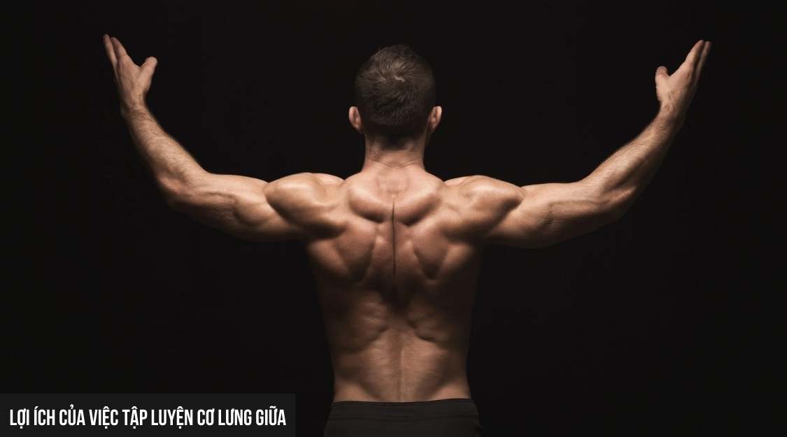 Lợi ích của việc tập luyện cơ lưng giữa