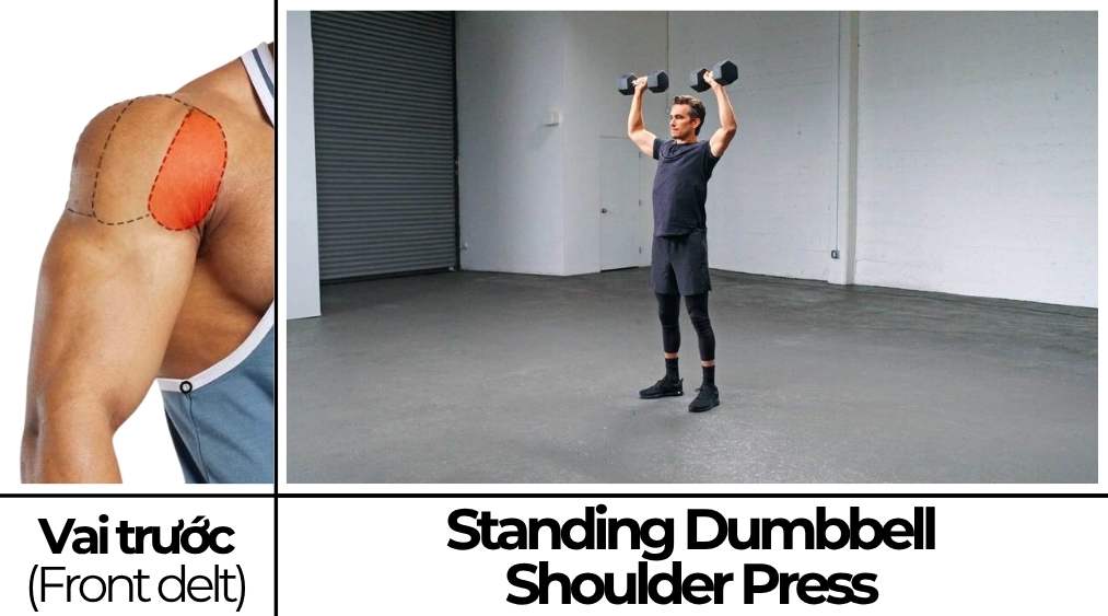 Standing dumbbell shoulder press