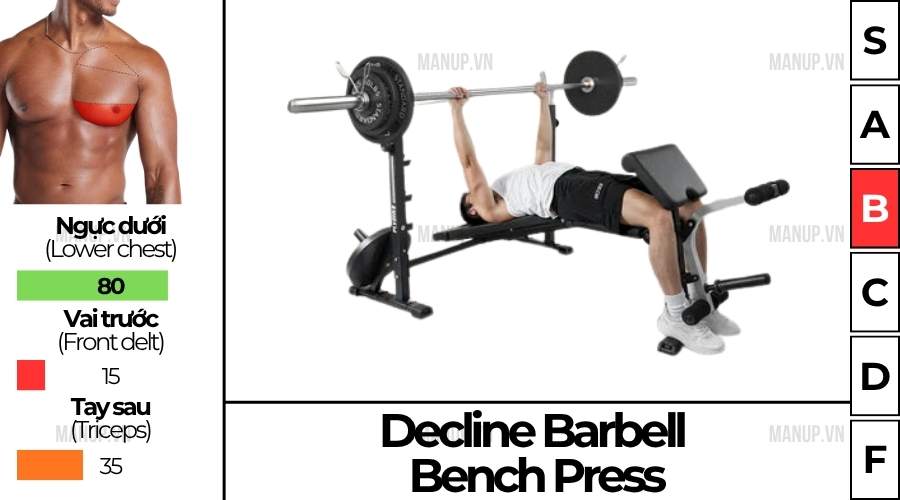bài tập gym Decline Barbell Bench Press