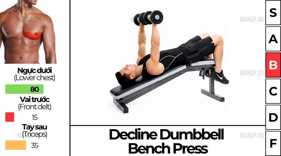 Decline Dumbbell Bench Press