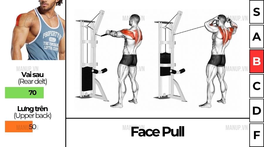 Face Pull