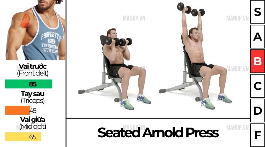 Seated Arnold Press