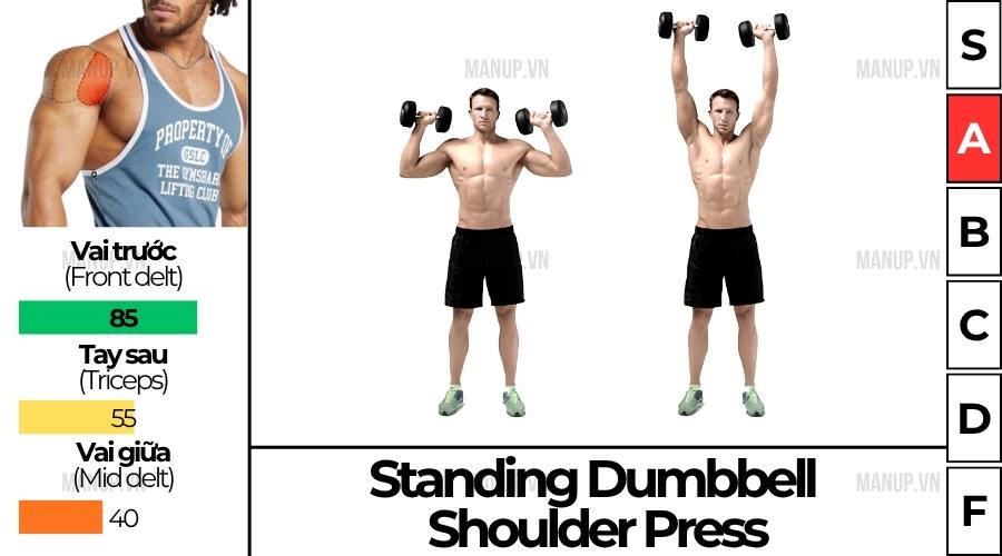 Standing dumbbell shoulder press