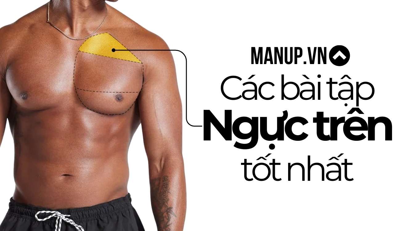 các bài tập ngực cho nam tại phòng gym