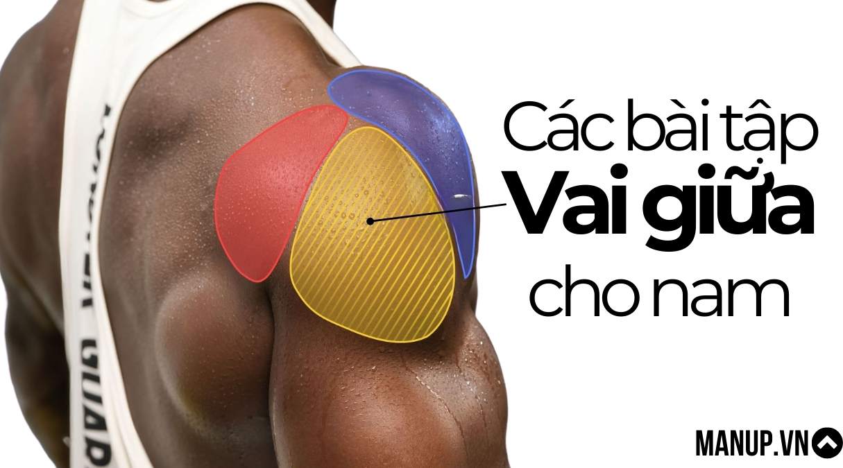 bài tập vai giữa cho nam