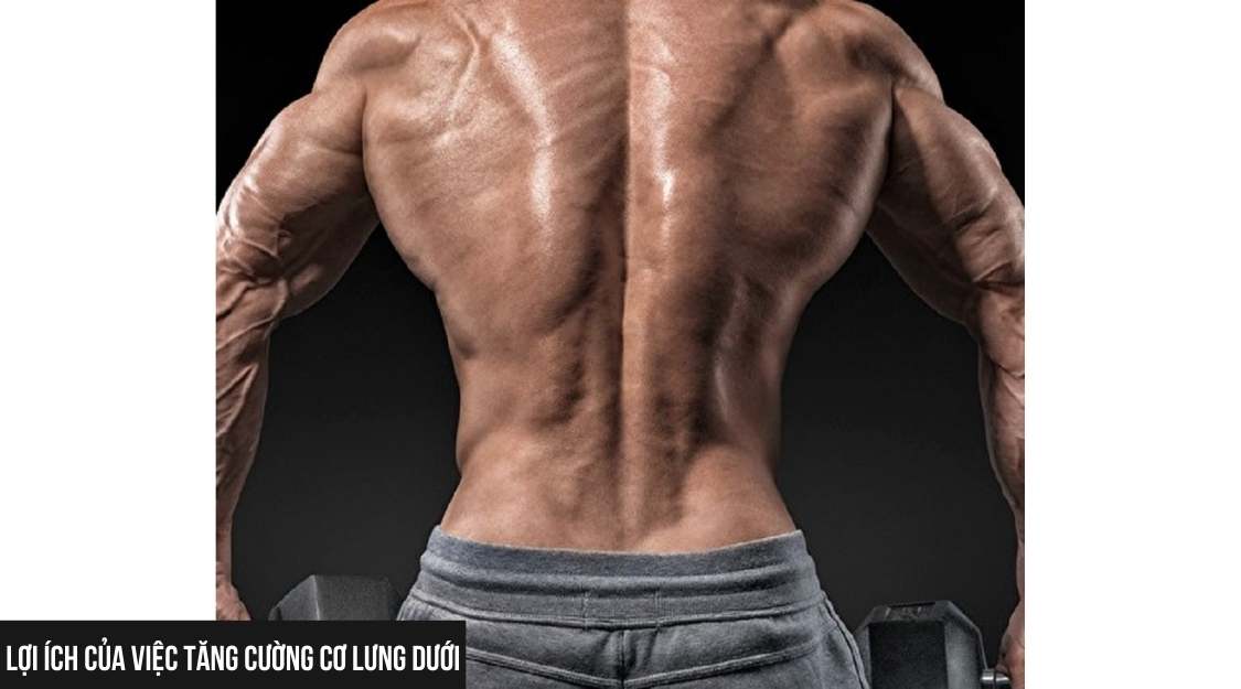 Lợi ích của việc tăng cường cơ lưng dưới