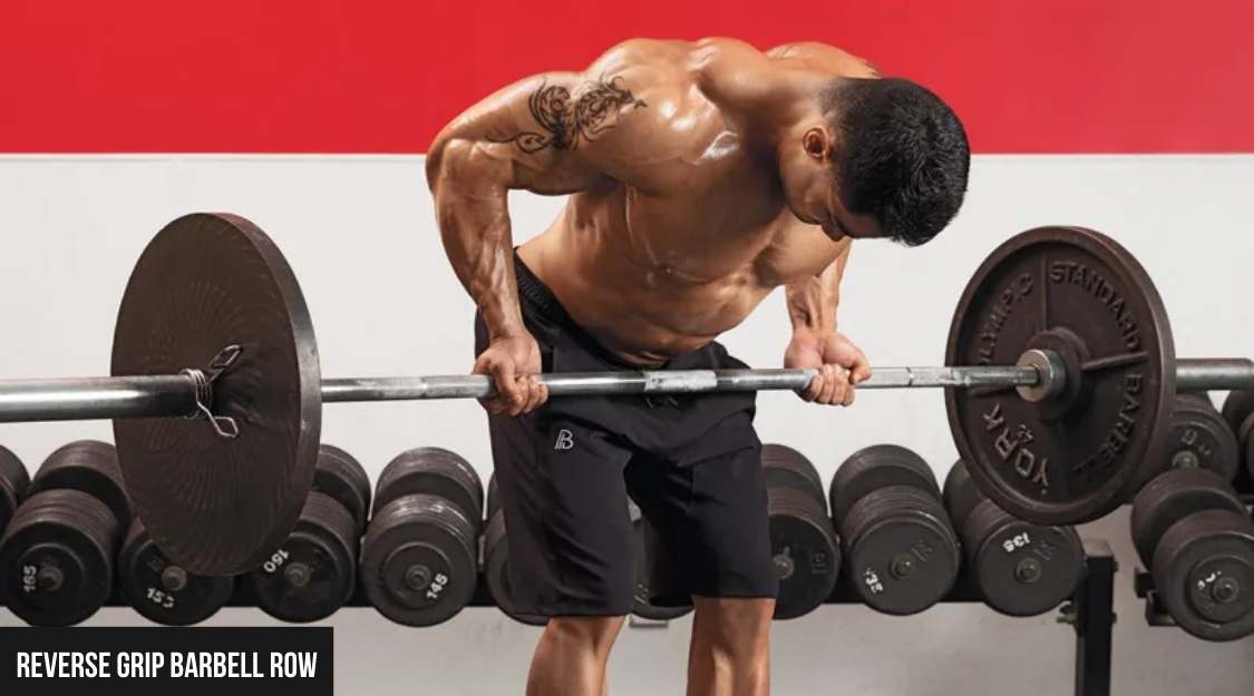 Reverse Grip Barbell Row