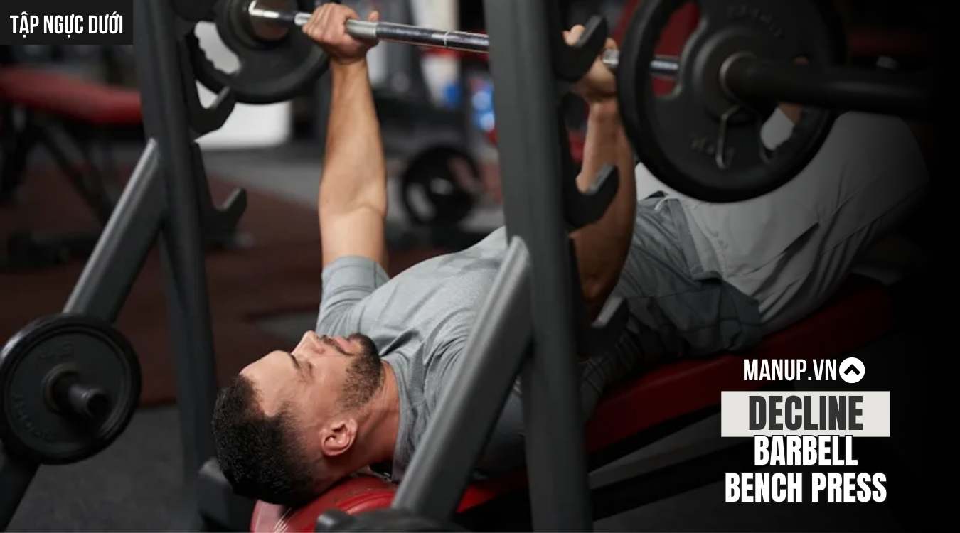 Decline Barbell Bench Press
