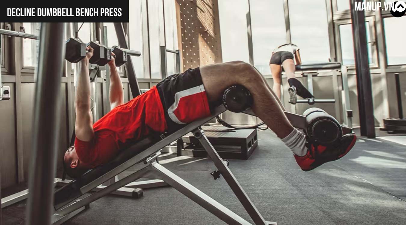 Decline Dumbbell Bench Press