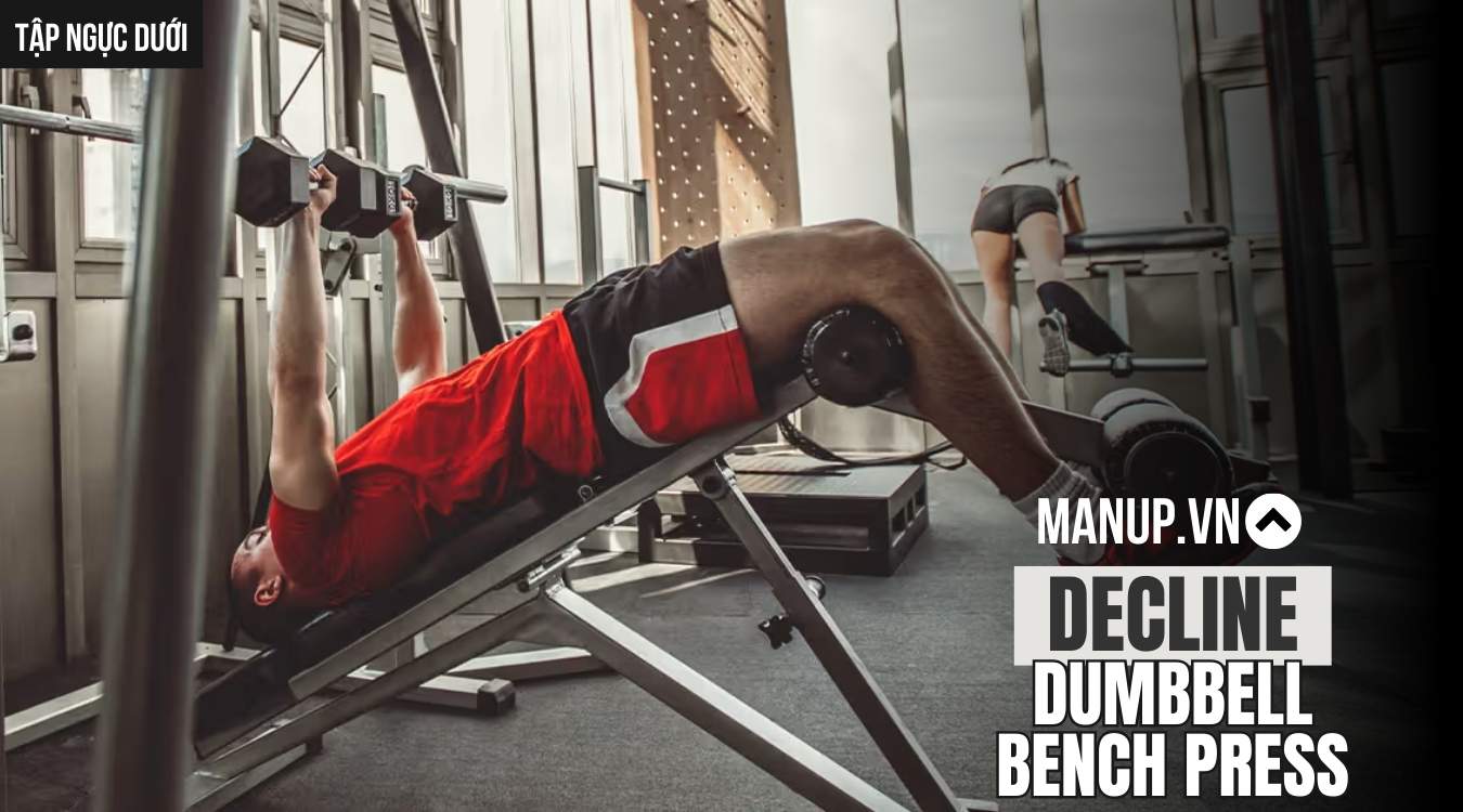 Decline Dumbbell Bench Press