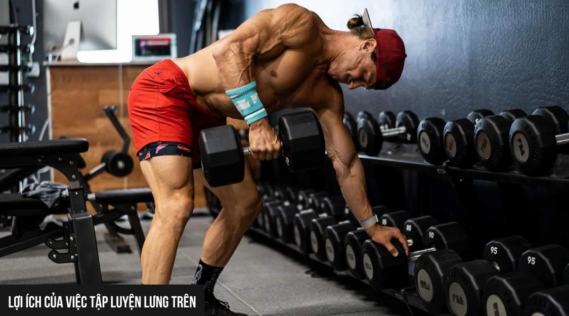 Lợi Ích Của Việc Tập Luyện Lưng Trên
