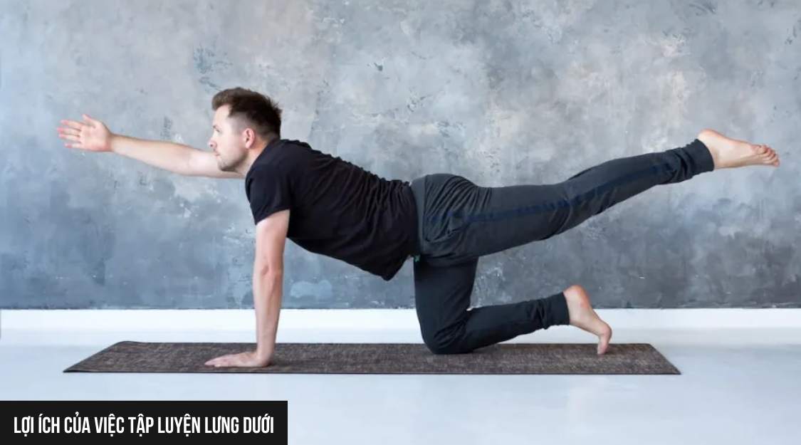 Lợi Ích Của Việc Tập Luyện Lưng Dưới