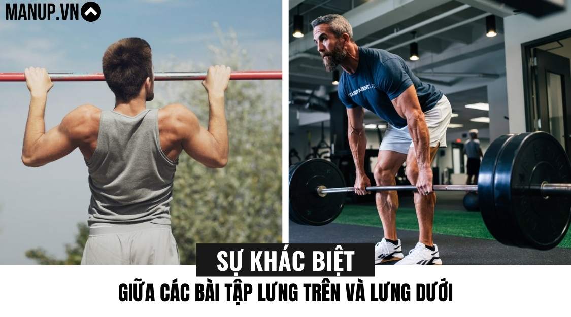 Sự khác biệt giữa các bài tập lưng trên và lưng dưới