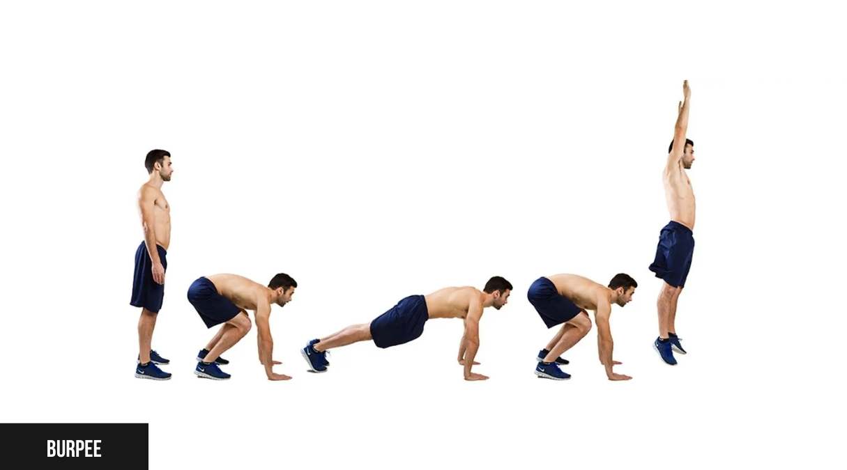 Burpee