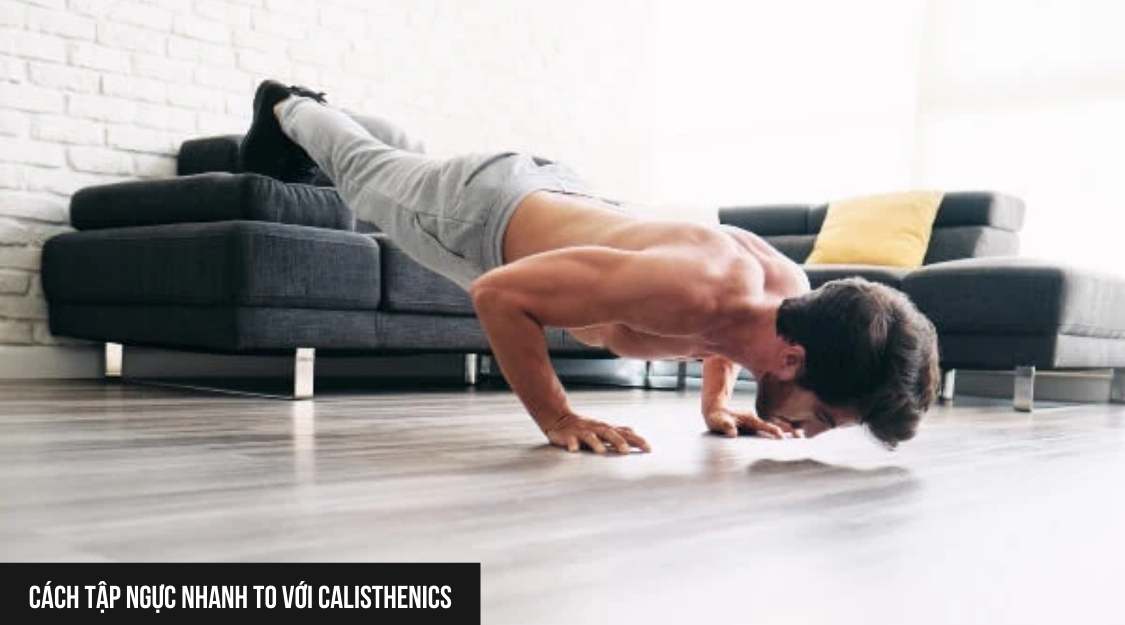 Cách tập ngực nhanh to với calisthenics