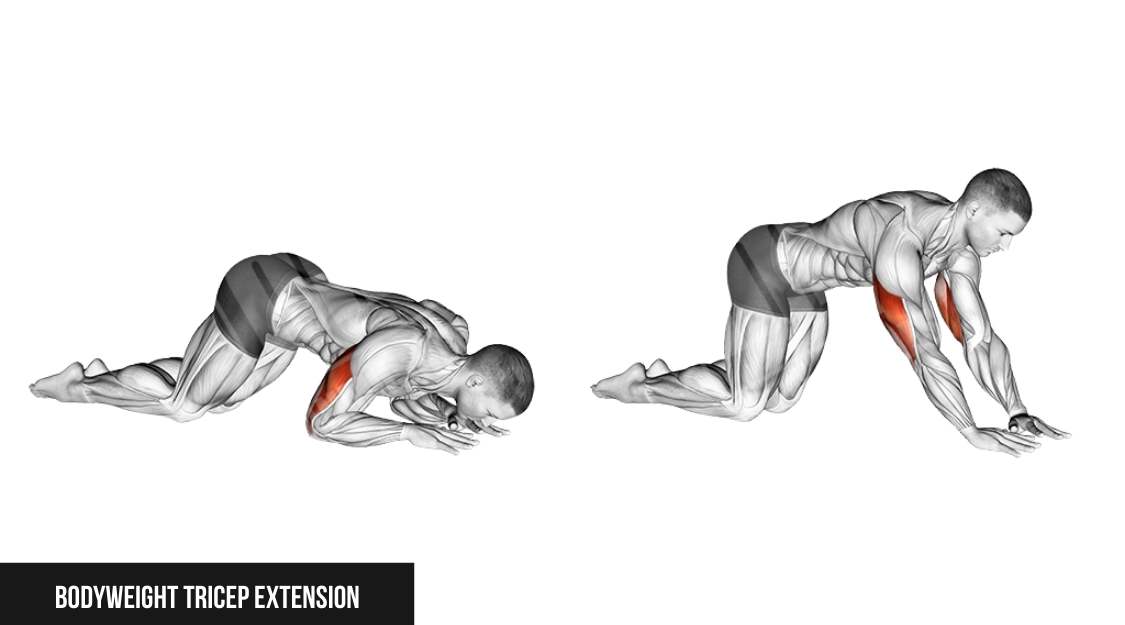 Bodyweight Tricep Extension