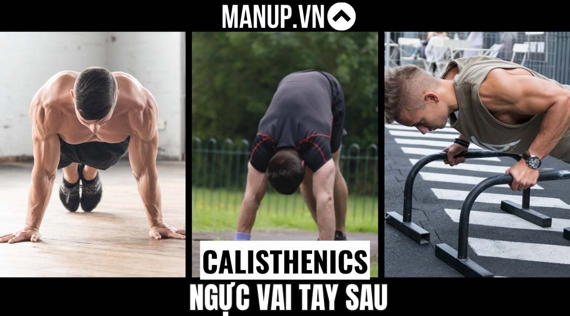 các bài tập ngực, vai, tay sau calisthenics