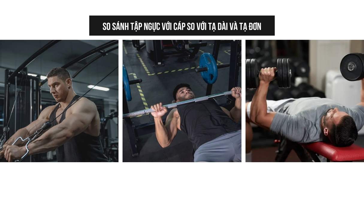 So sánh tập ngực với cáp so với tạ dài và tạ đơn