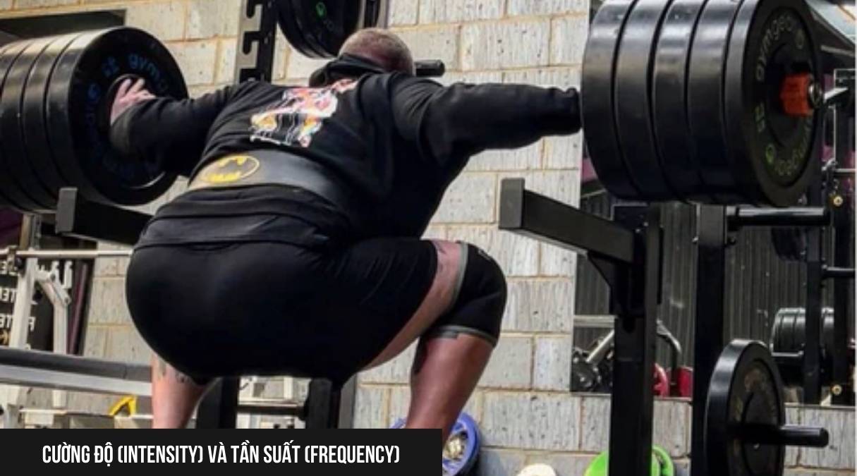 Cường độ (Intensity) và Tần suất (Frequency)
