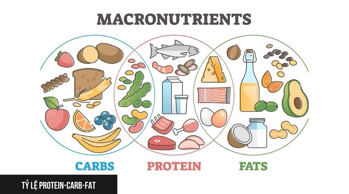 Tỷ lệ Protein-Carb-Fat