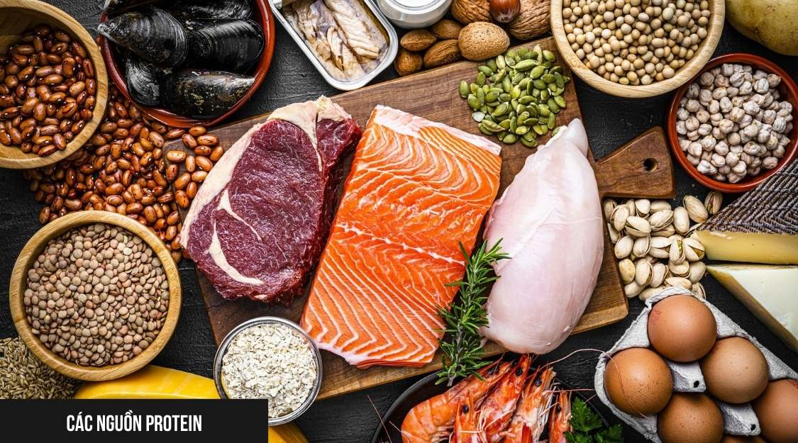 Các nguồn protein tốt nhất
