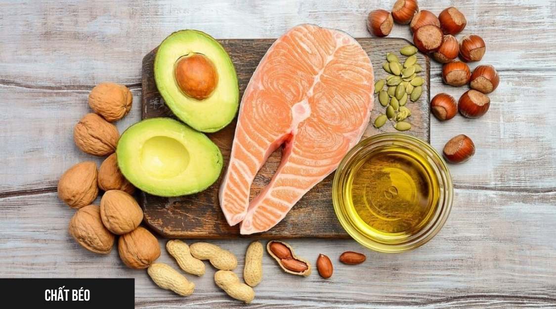 Chất Béo