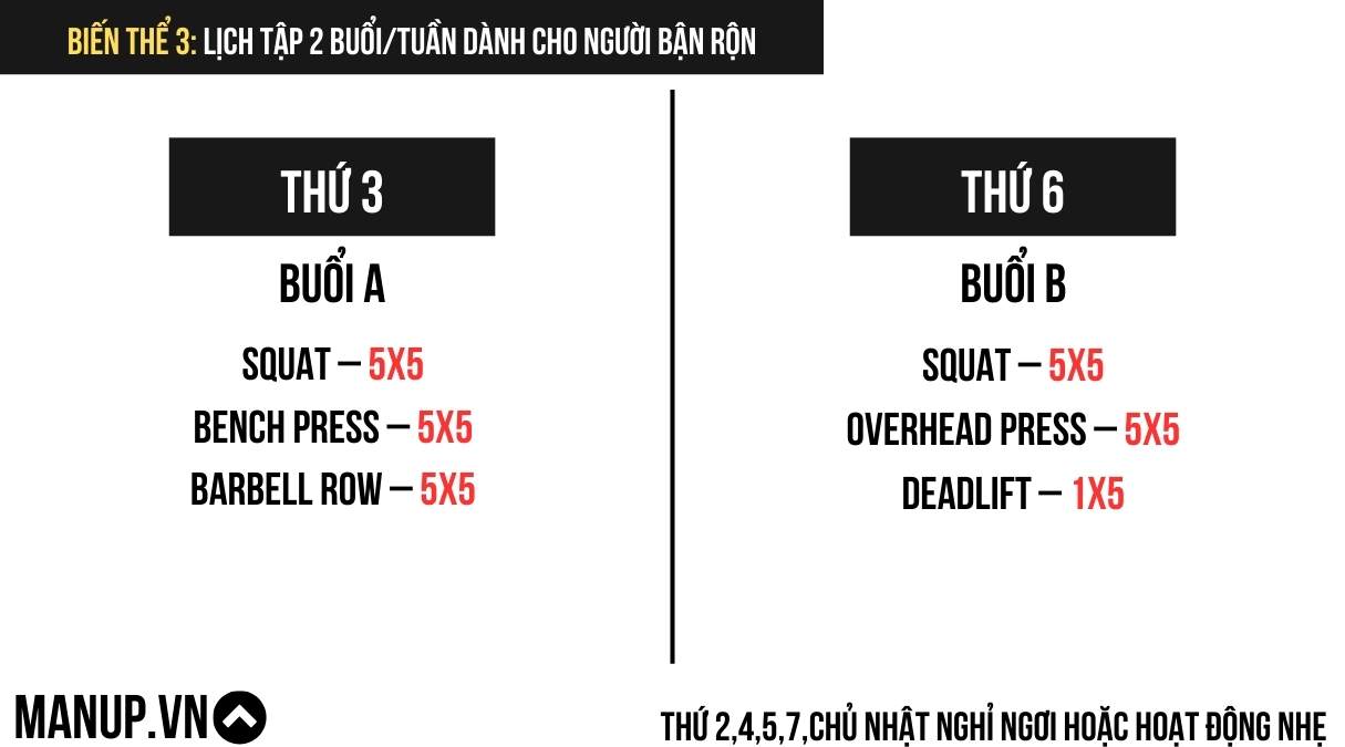 Biến thể 3: Lịch tập 2 buổi/tuần dành cho người bận rộn