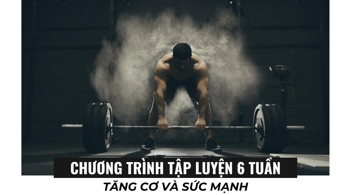 Chương trình tập luyện 6 tuần tăng cơ và sức mạnh