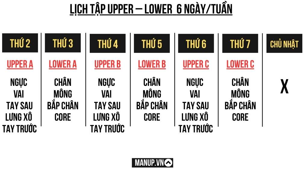 Upper/Lower Split – lựa chọn thay thế cho full body workout