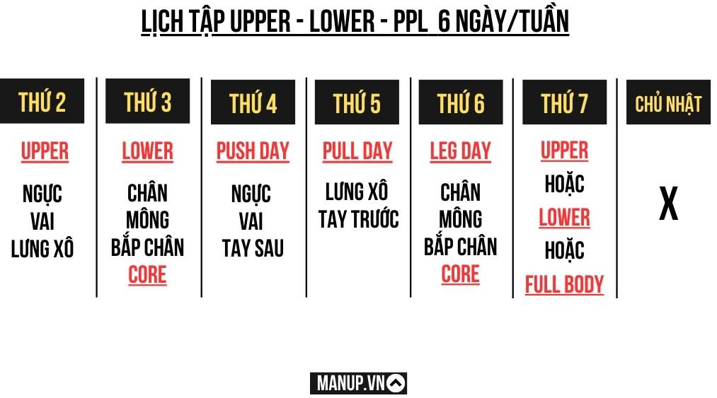 ULPPL (Upper/Lower kết hợp PPL)
