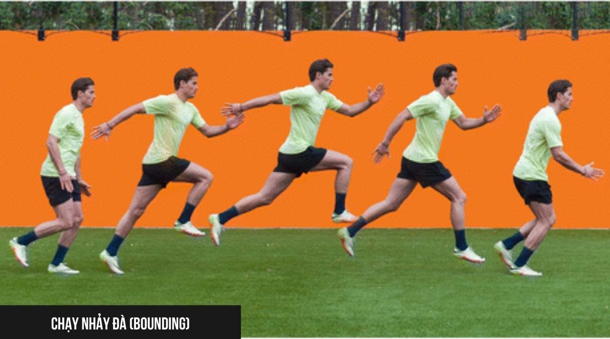 Bounding