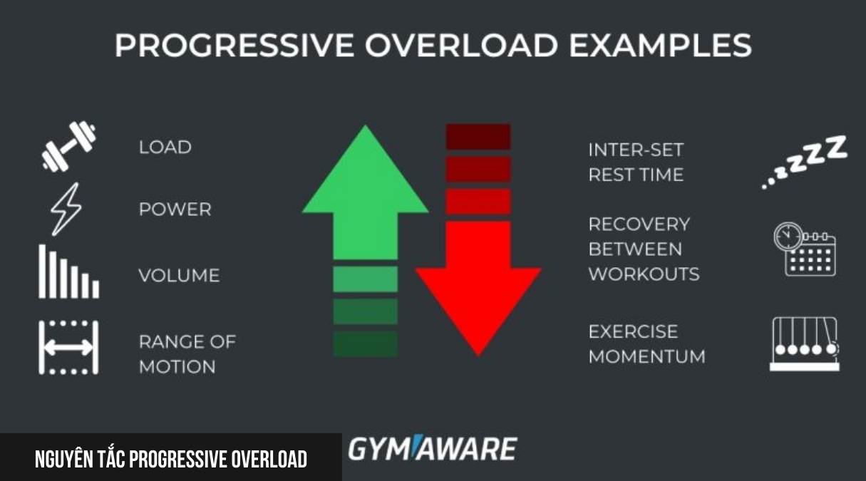 Nguyên tắc Progressive Overload
