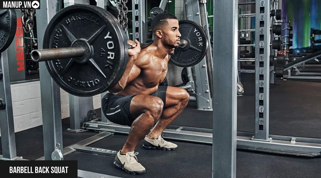 Barbell Back Squat