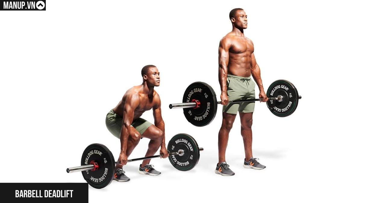 Barbell Deadlift