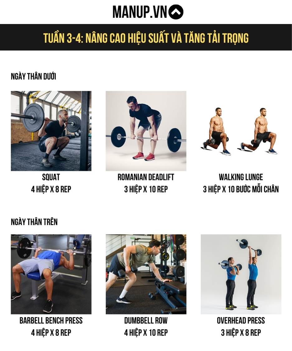 Tuần 3-4: Nâng cao hiệu suất và tăng tải trọng