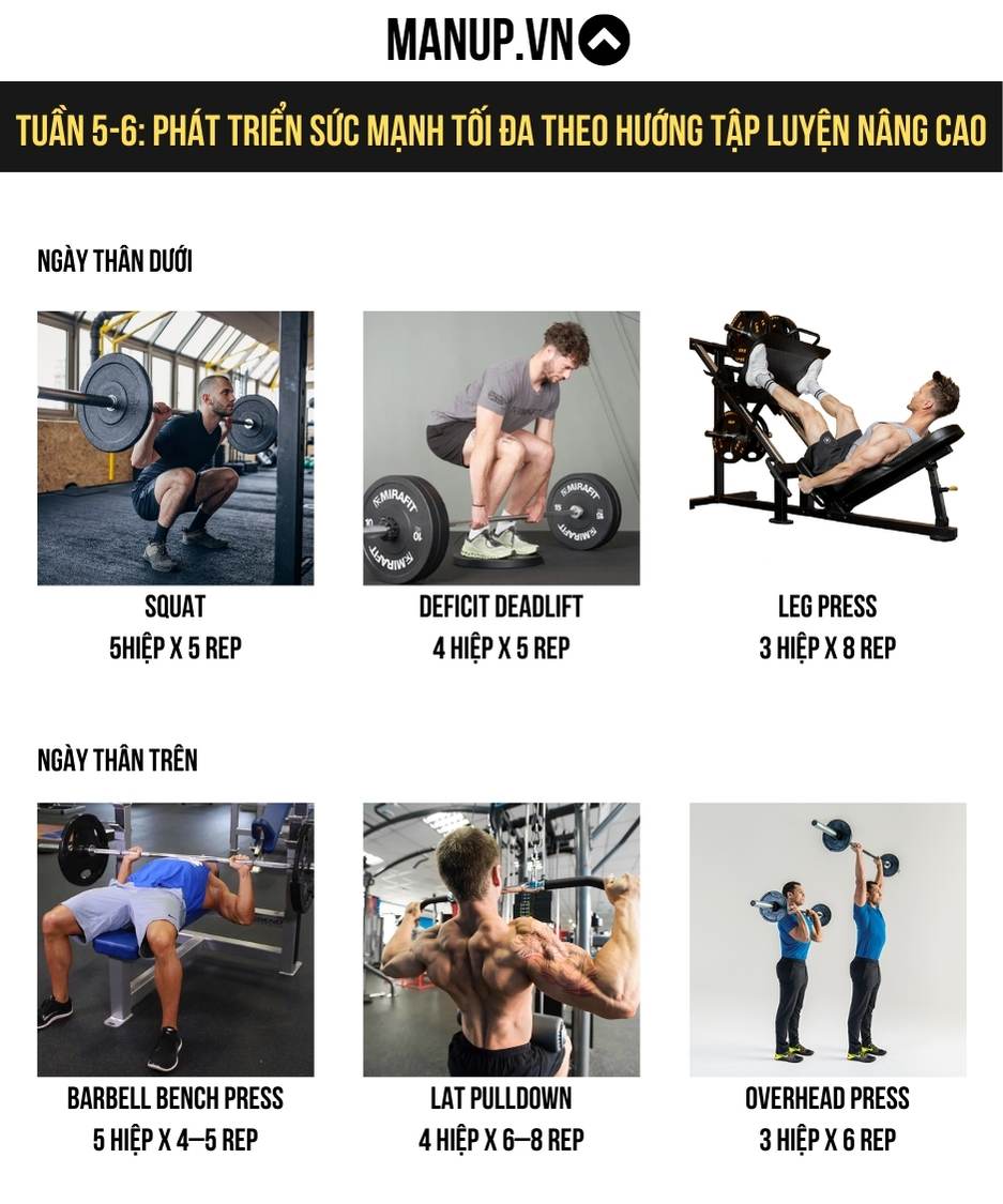 Tuần 5-6: Phát triển sức mạnh tối đa theo hướng tập luyện nâng cao
