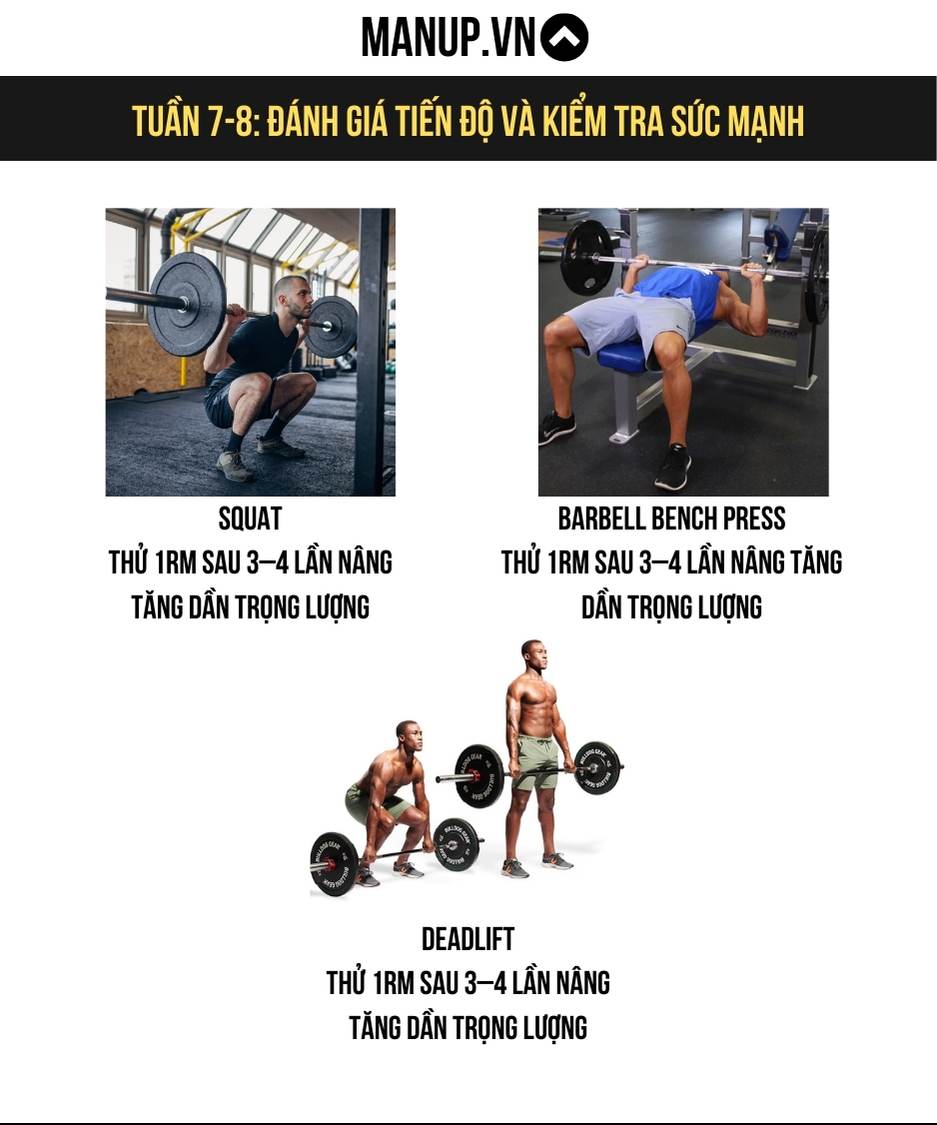Tuần 7-8: Đánh giá tiến độ và kiểm tra sức mạnh