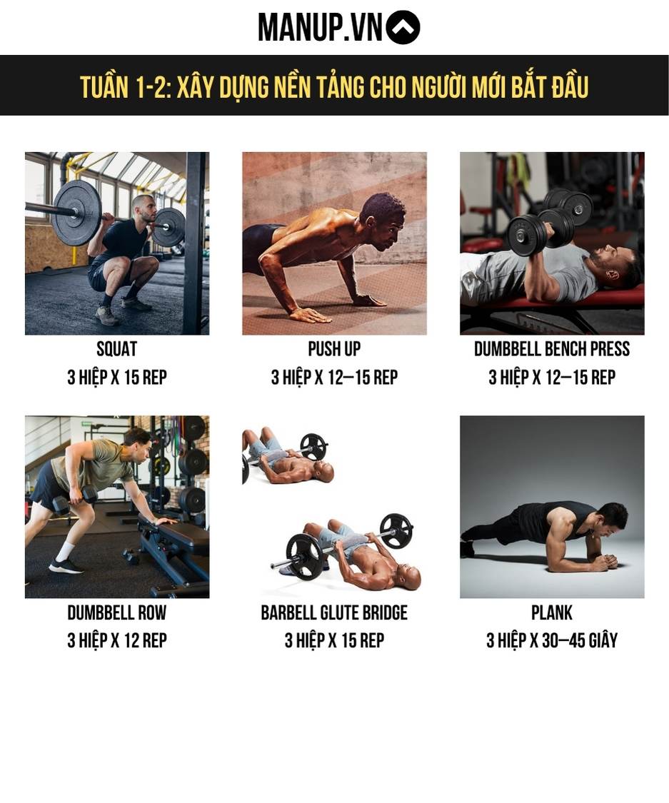 Tuần 1-2: Xây dựng nền tảng cho người mới bắt đầu