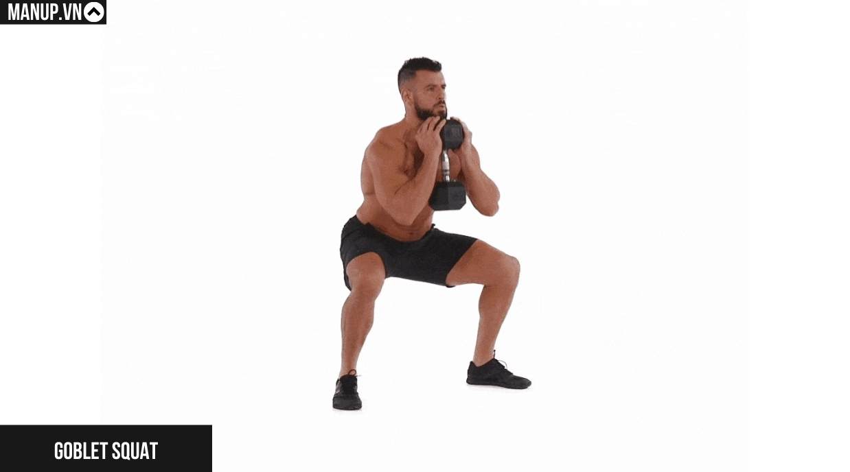 Goblet Squat