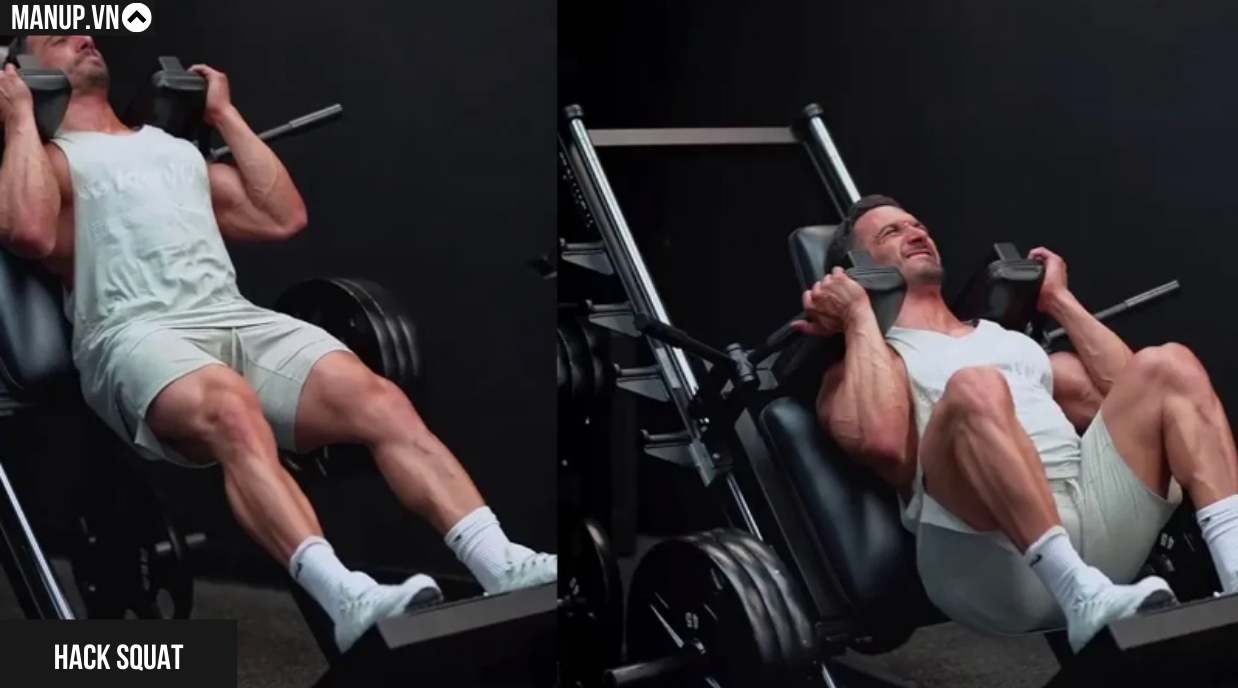 Hack Squat